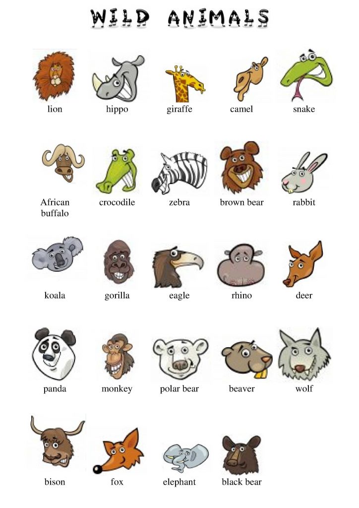 Divlje životinje na engleskom